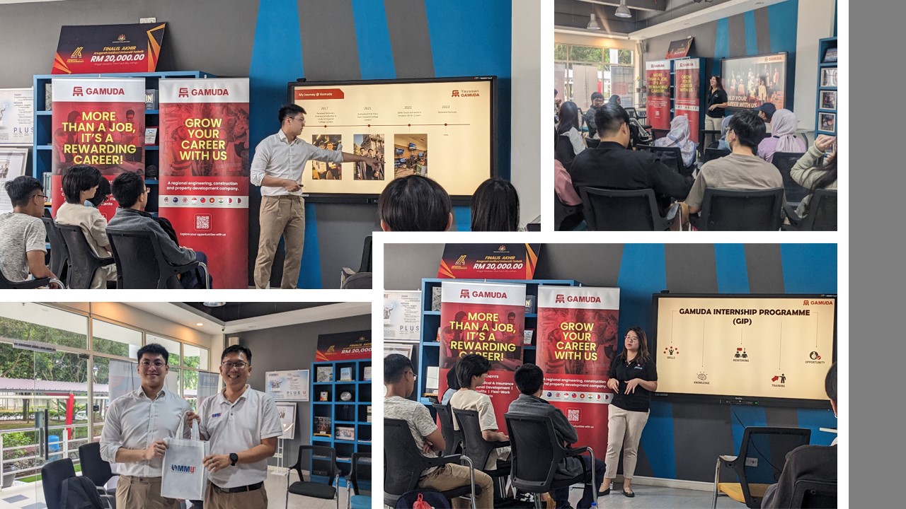 Gaining Digital Engineering Insights from Industry Expert